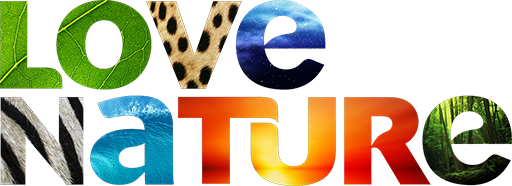 Love Nature